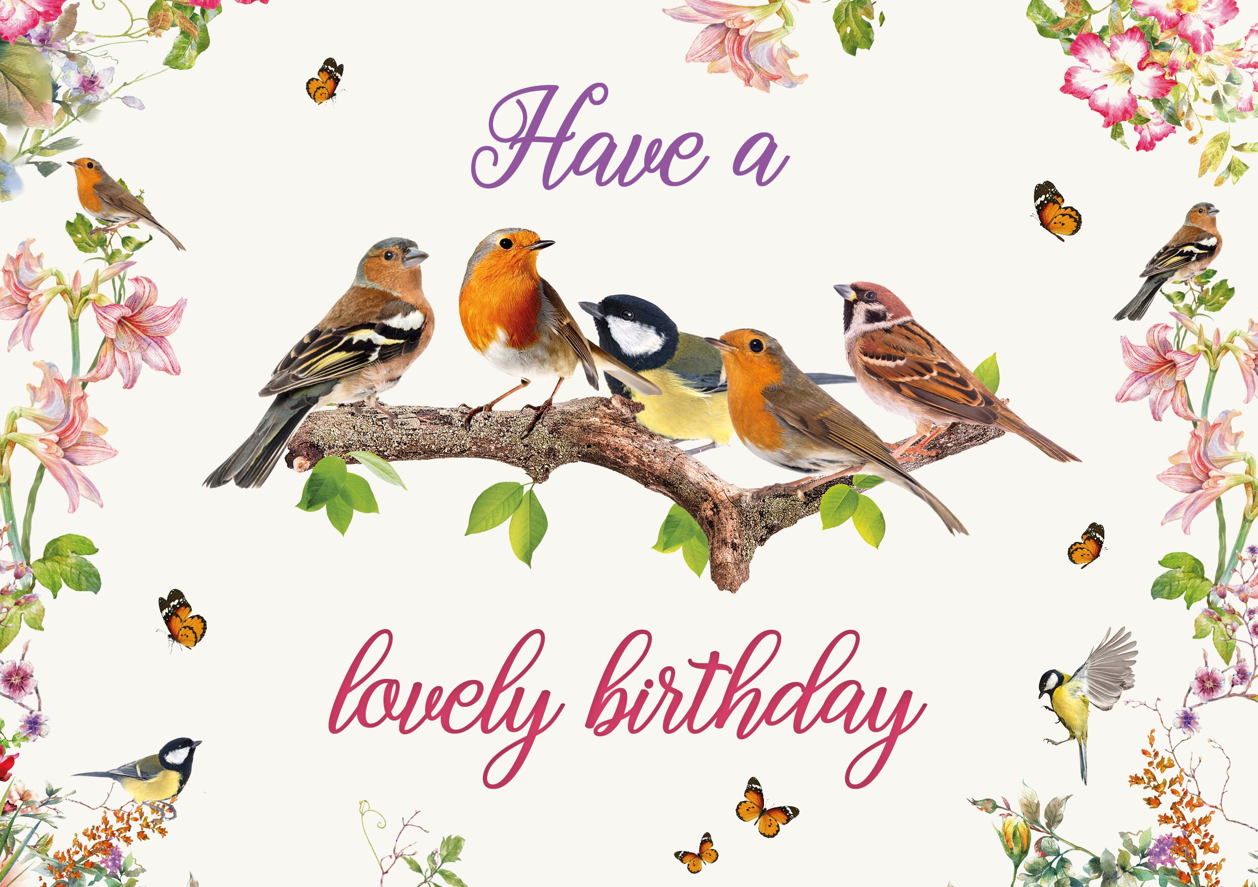 Plenty Gifts Kaart A5 Birthday Garden Birds (h)