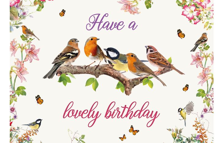 Plenty Gifts Kaart A5 Birthday Garden Birds (h)