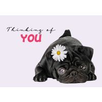 Plenty Gifts Kaart A5 Thinking Of You Pug (h)