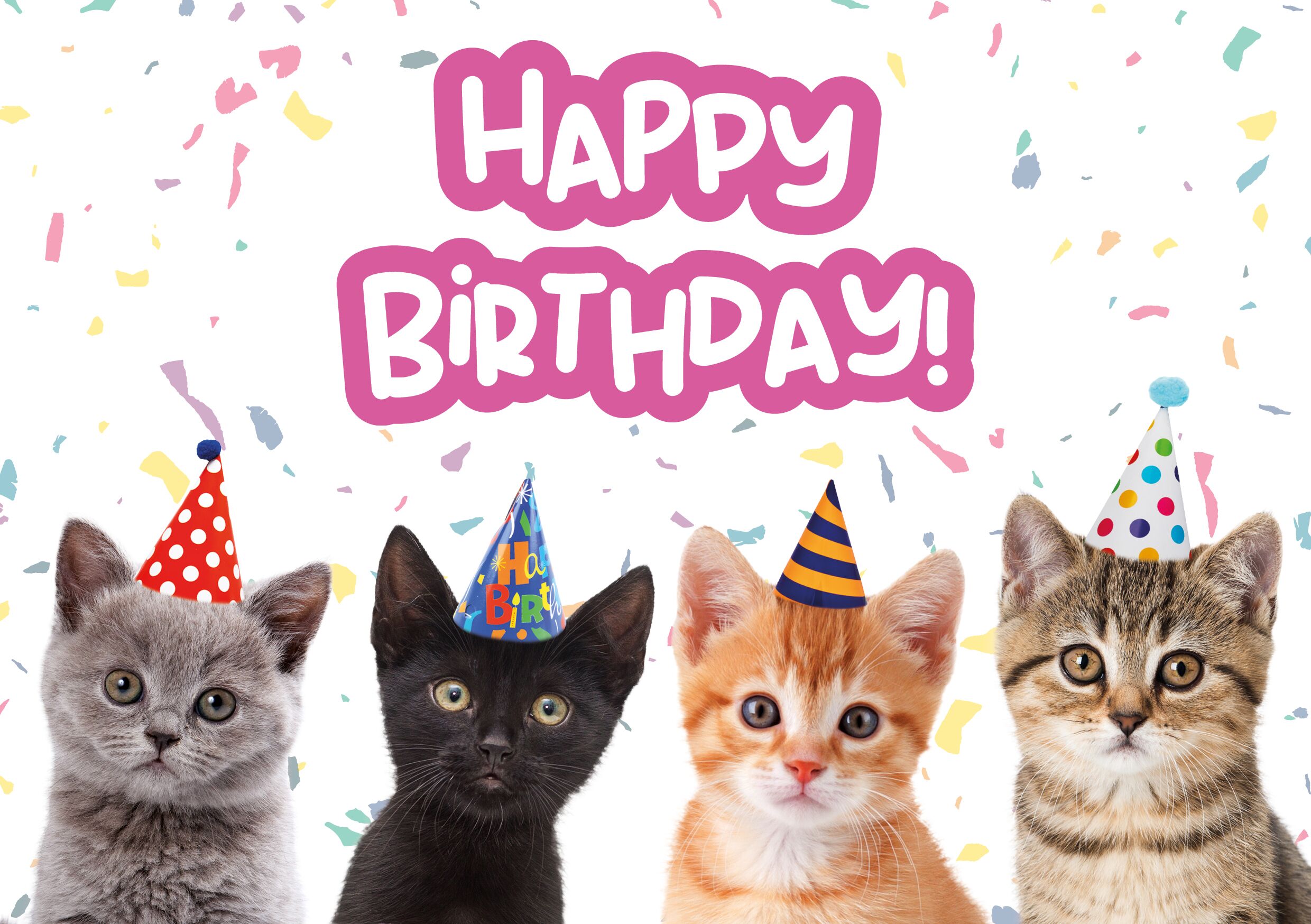 Plenty Gifts Kaart A5 Birthday Kittens (h)