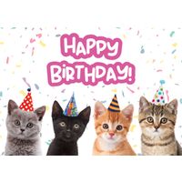Plenty Gifts Kaart A5 Birthday Kittens (h)