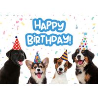 Plenty Gifts Kaart A5 Birthday Puppies (h)