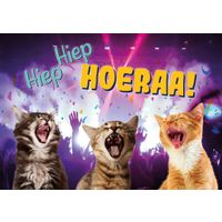 Plenty Gifts Kaart A5 Hiep Hiep Hoeraa! (h)