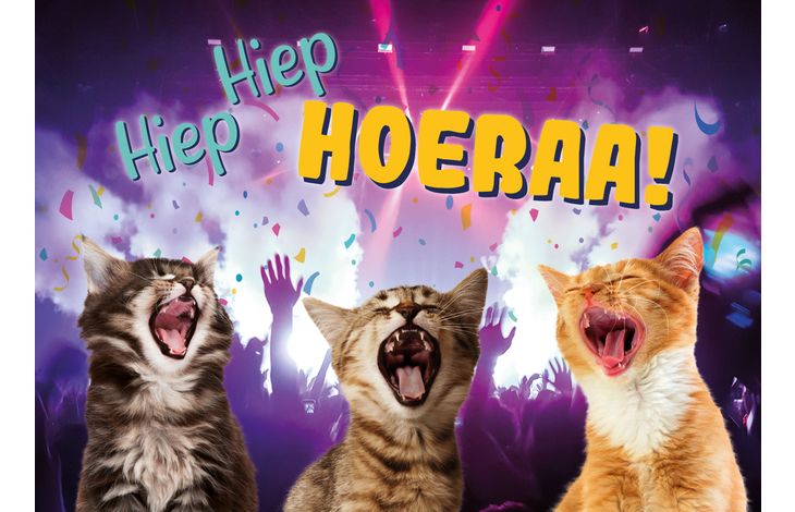 Plenty Gifts Kaart A5 Hiep Hiep Hoeraa! (h)