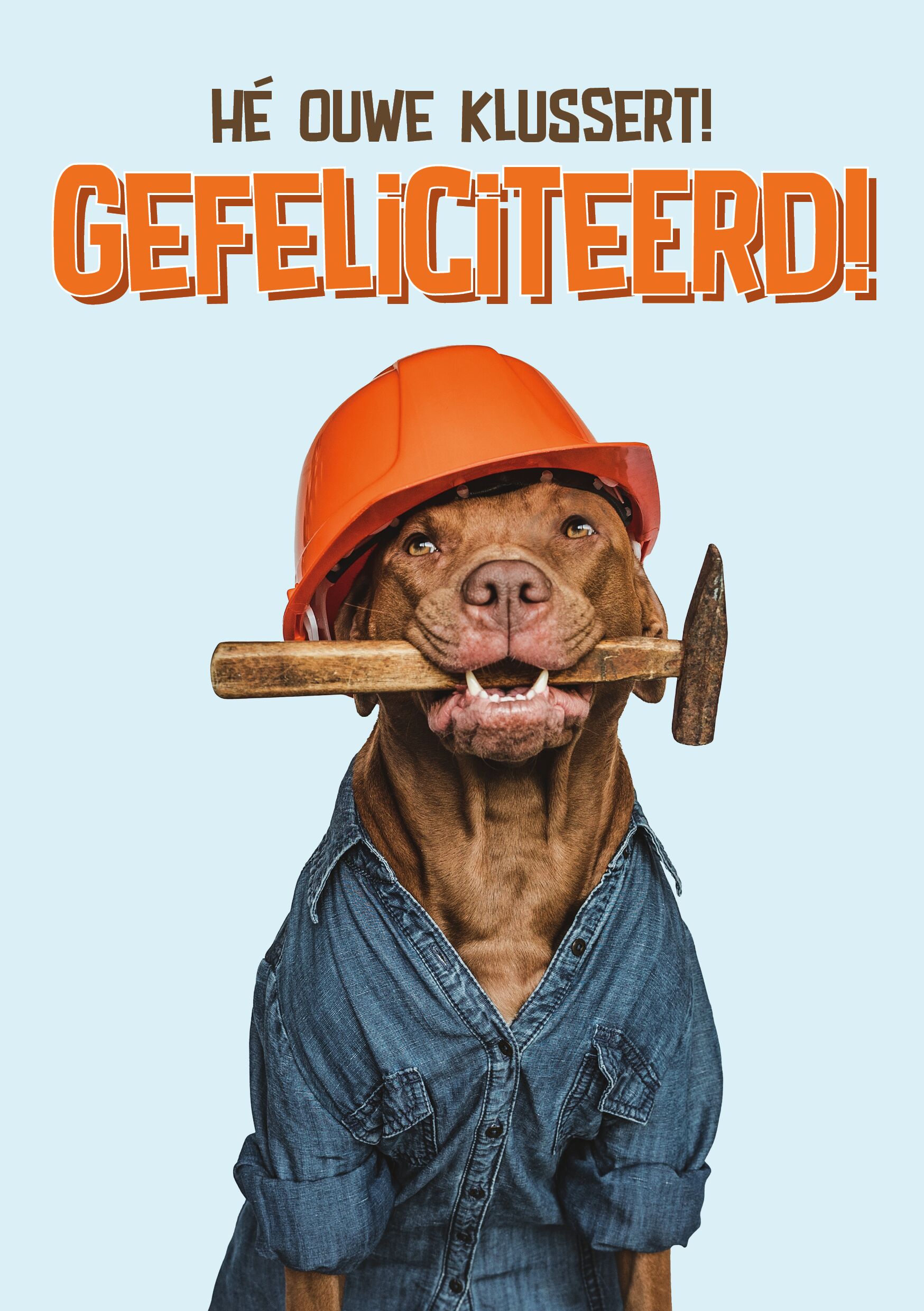 Plenty Gifts Kaart A5 Klussert Gefeliciteerd (v)