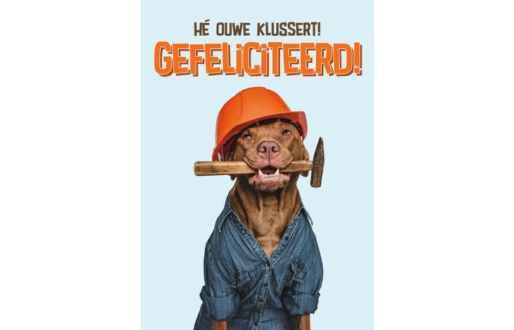 Plenty Gifts Kaart A5 Klussert Gefeliciteerd (v)