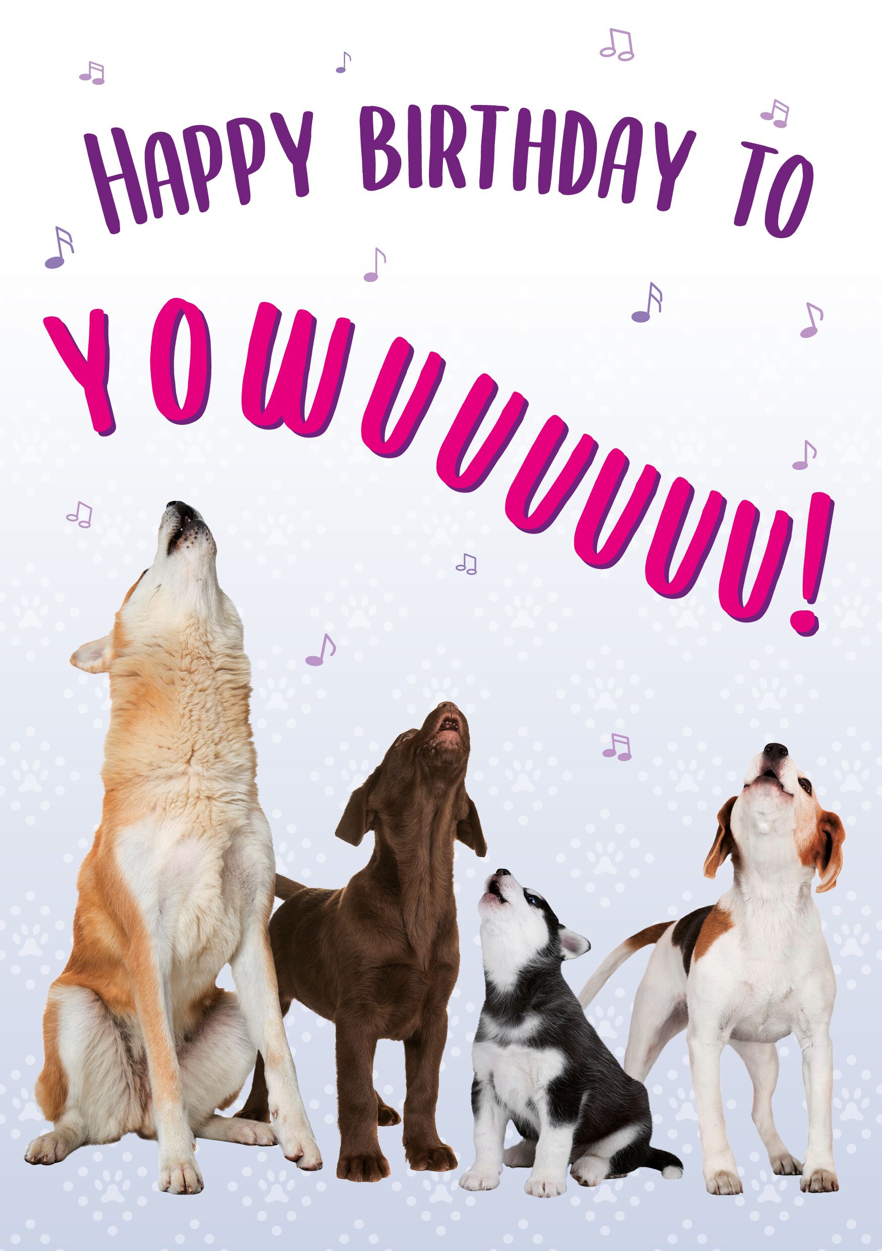 Plenty Gifts Kaart A5 Happy Birthday Dogs (v)