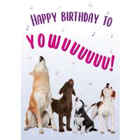 Plenty Gifts Kaart A5 Happy Birthday Dogs (v)