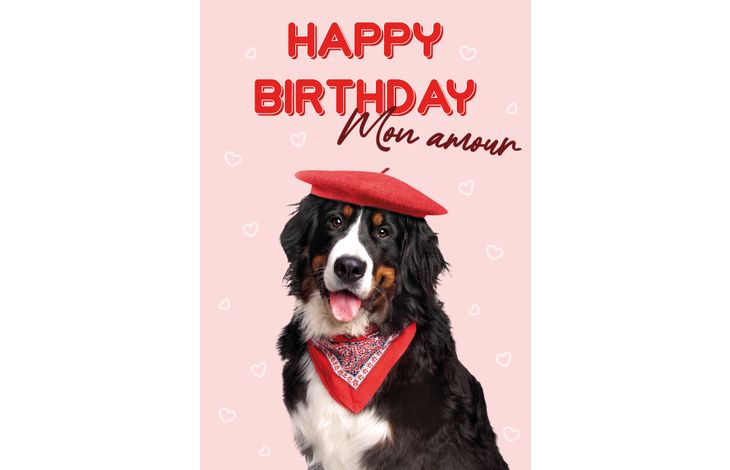 Plenty Gifts Kaart A5 Happy Birthday Mon Amour (v)