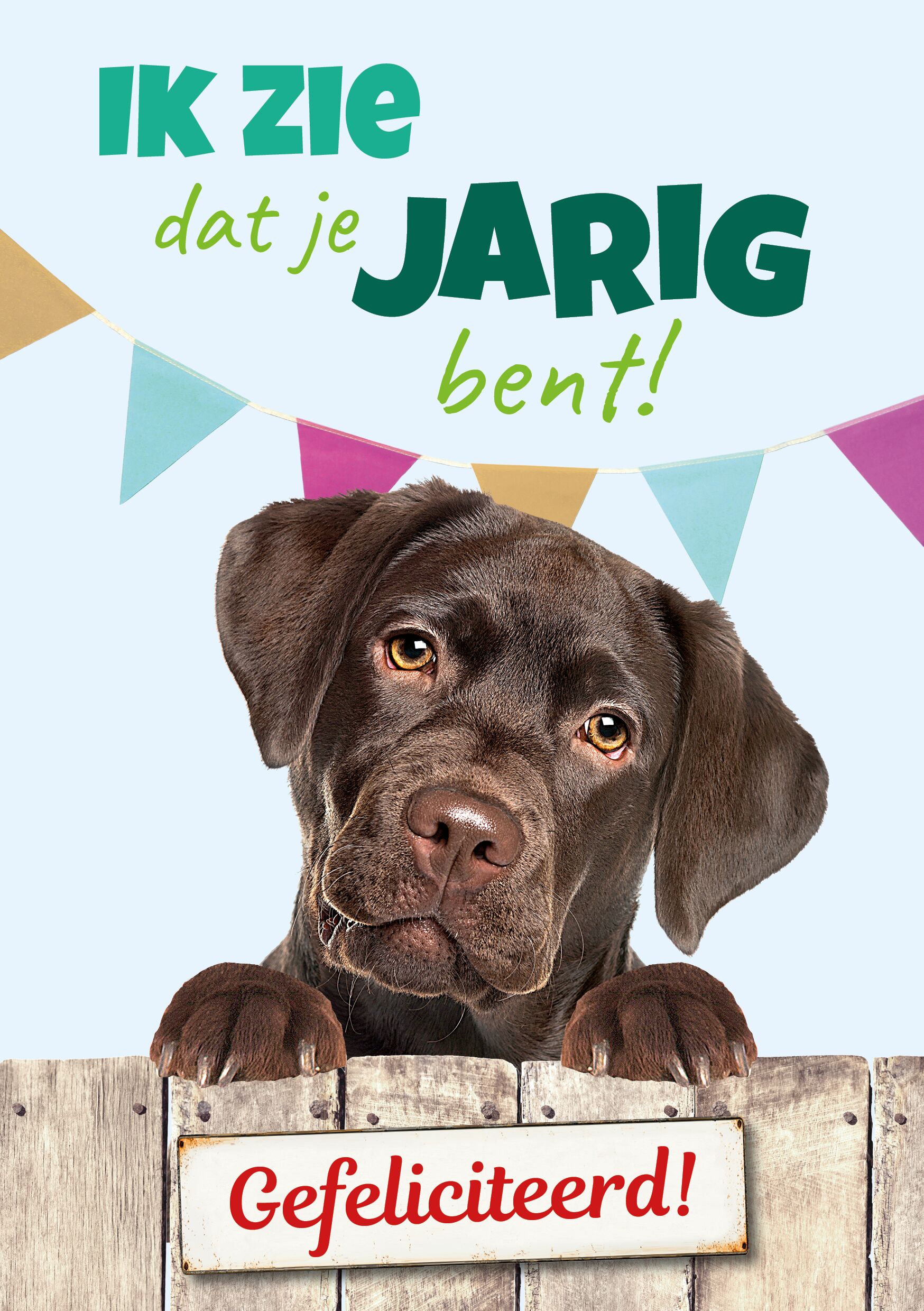 Plenty Gifts Kaart A5 Jarig Labrador (v)