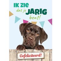 Plenty Gifts Kaart A5 Jarig Labrador (v)