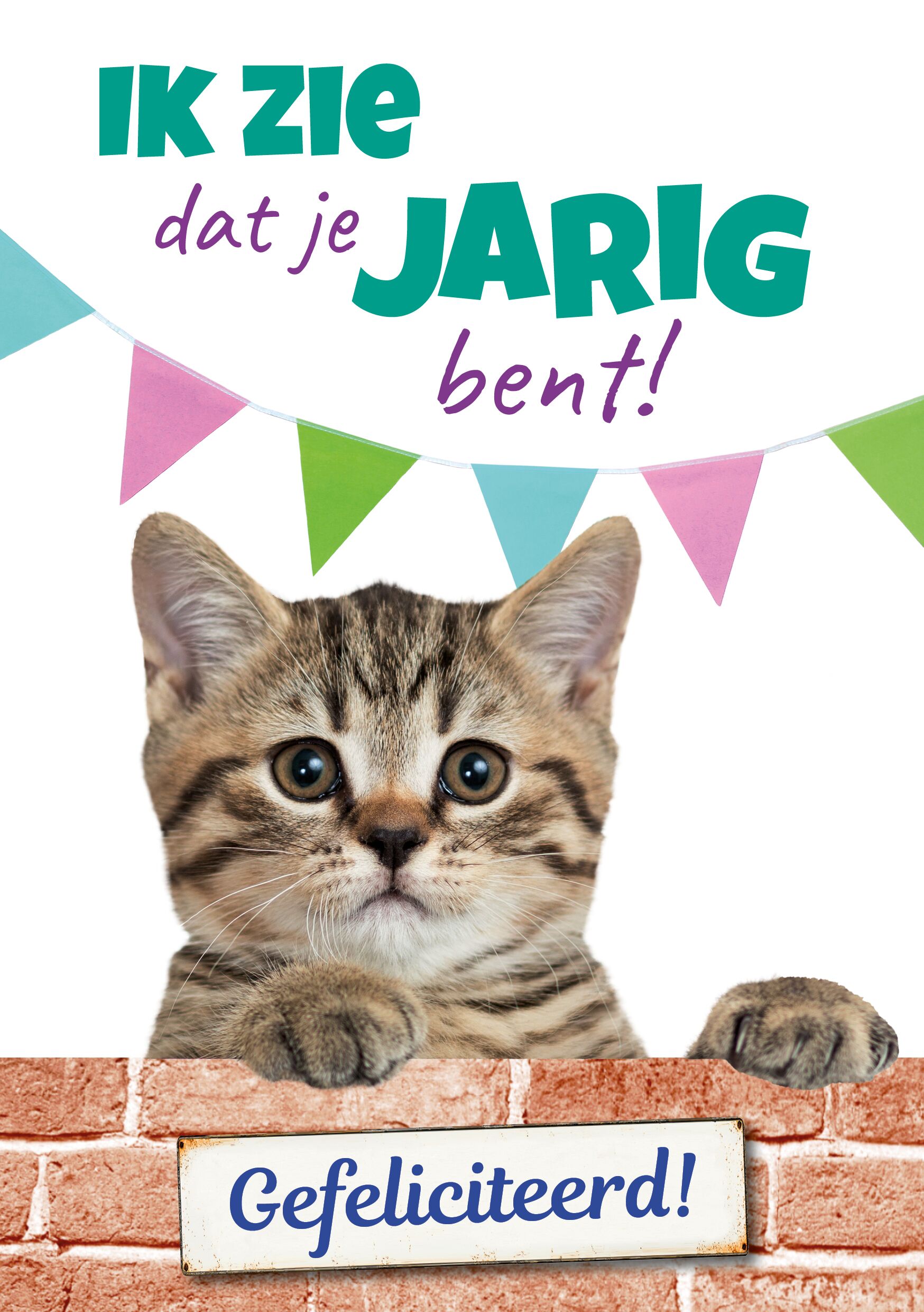 Plenty Gifts Kaart A5 Jarig Grijze Kat (v)