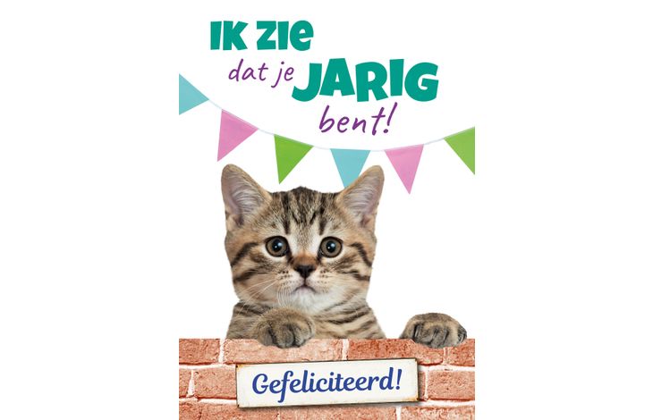 Plenty Gifts Kaart A5 Jarig Grijze Kat (v)