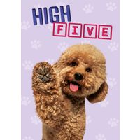 Plenty Gifts Kaart A5 High Five (v)