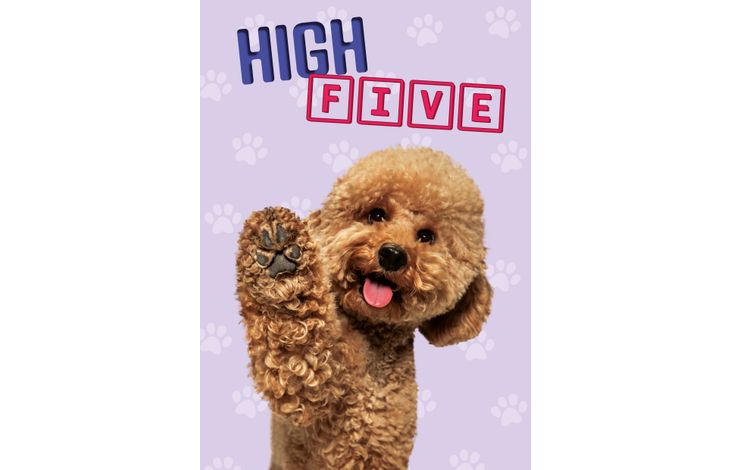 Plenty Gifts Kaart A5 High Five (v)