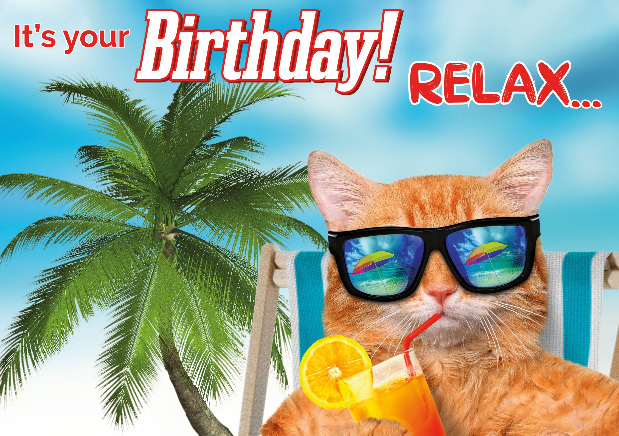 Plenty Gifts Kaart A5 Relax Orange Cat (h)