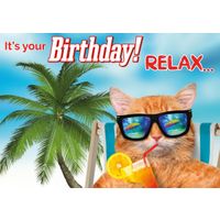 Plenty Gifts Kaart A5 Relax Orange Cat (h)