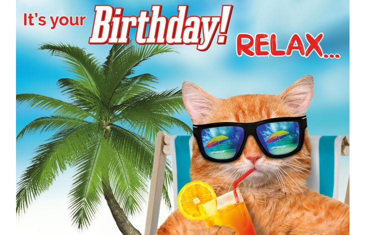 Plenty Gifts Kaart A5 Relax Orange Cat (h)