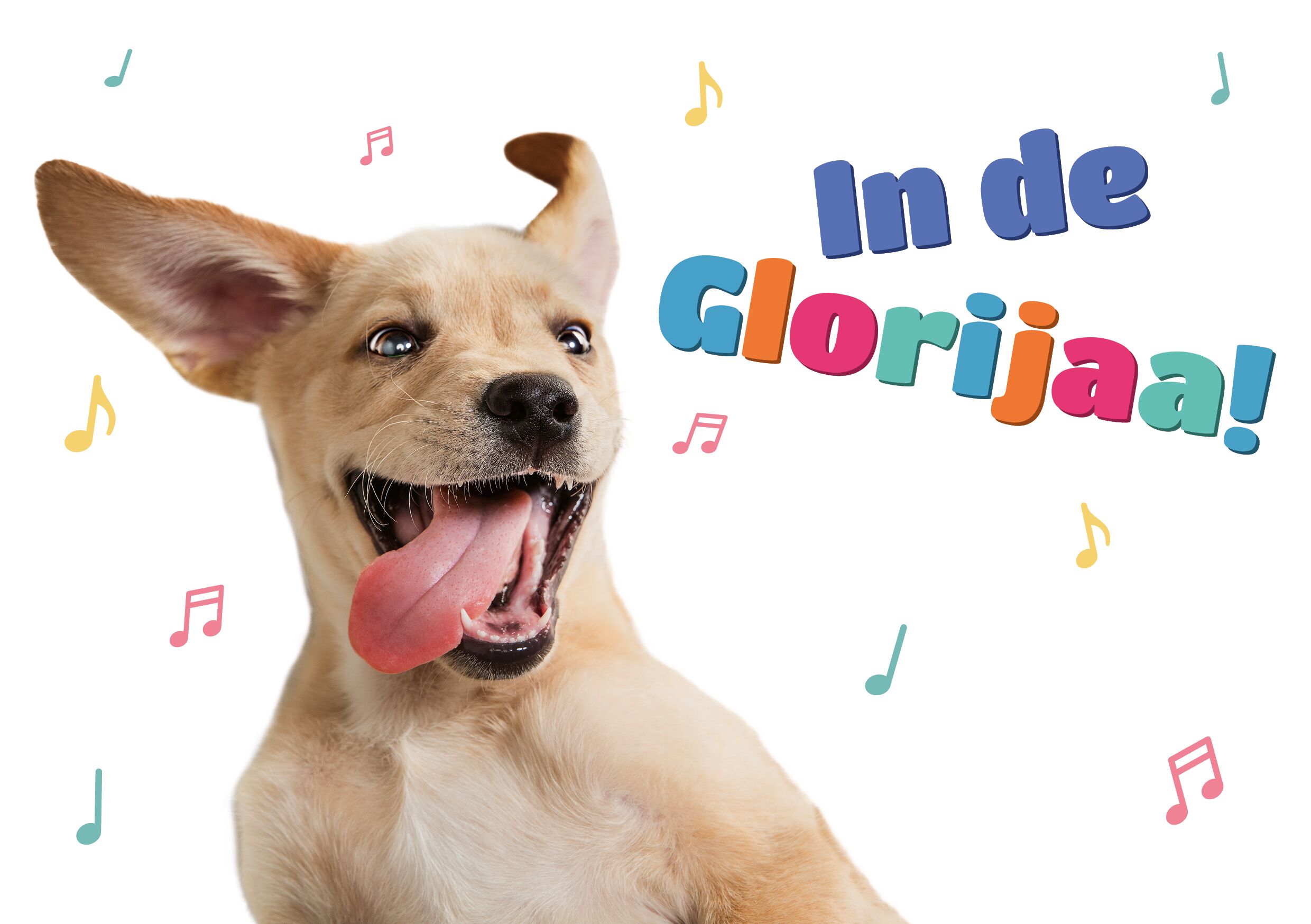 Plenty Gifts Kaart A5 Glorijaa! (h)