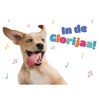 Plenty Gifts Kaart A5 Glorijaa! (h)