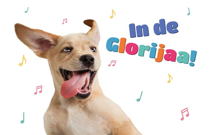 Plenty Gifts Kaart A5 Glorijaa! (h)