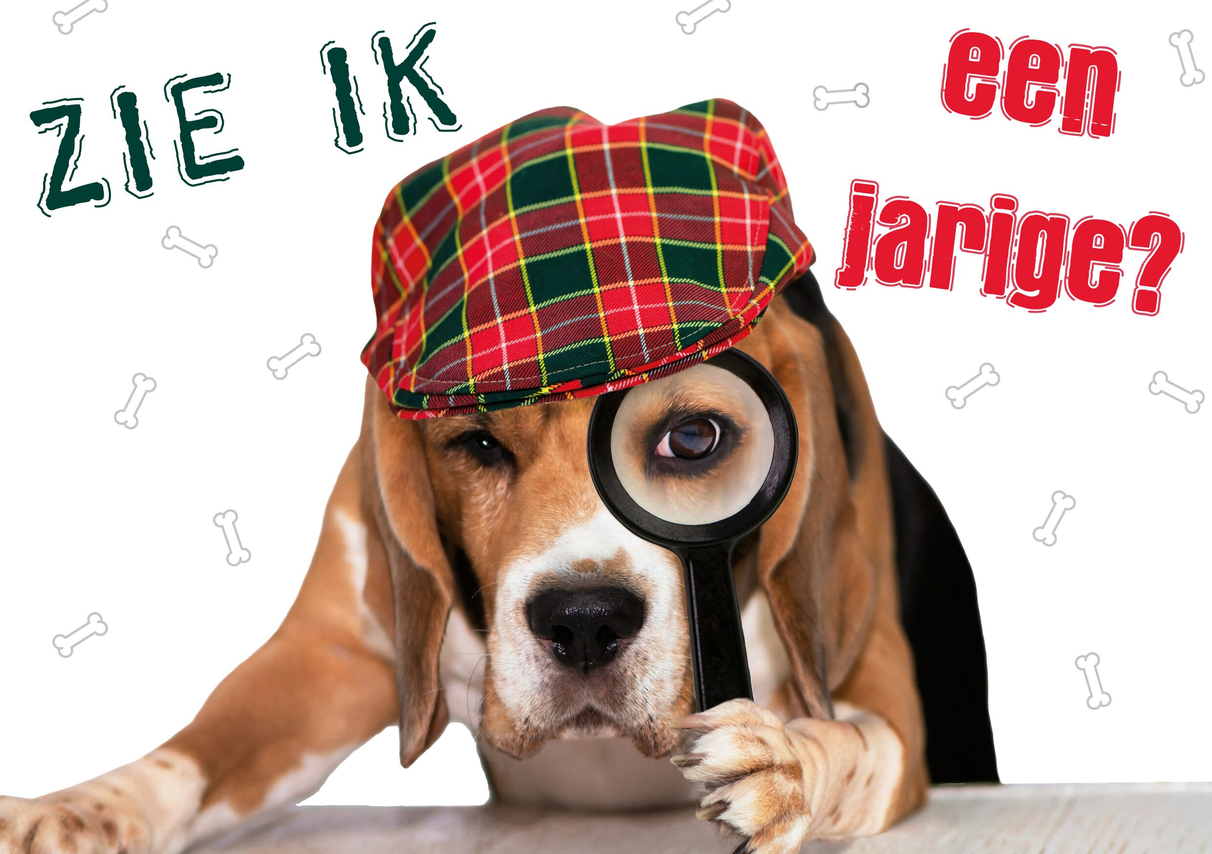 Plenty Gifts Kaart A5 Zie Ik Een Jarige? (h)