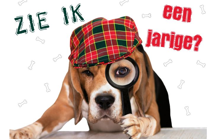 Plenty Gifts Kaart A5 Zie Ik Een Jarige? (h)