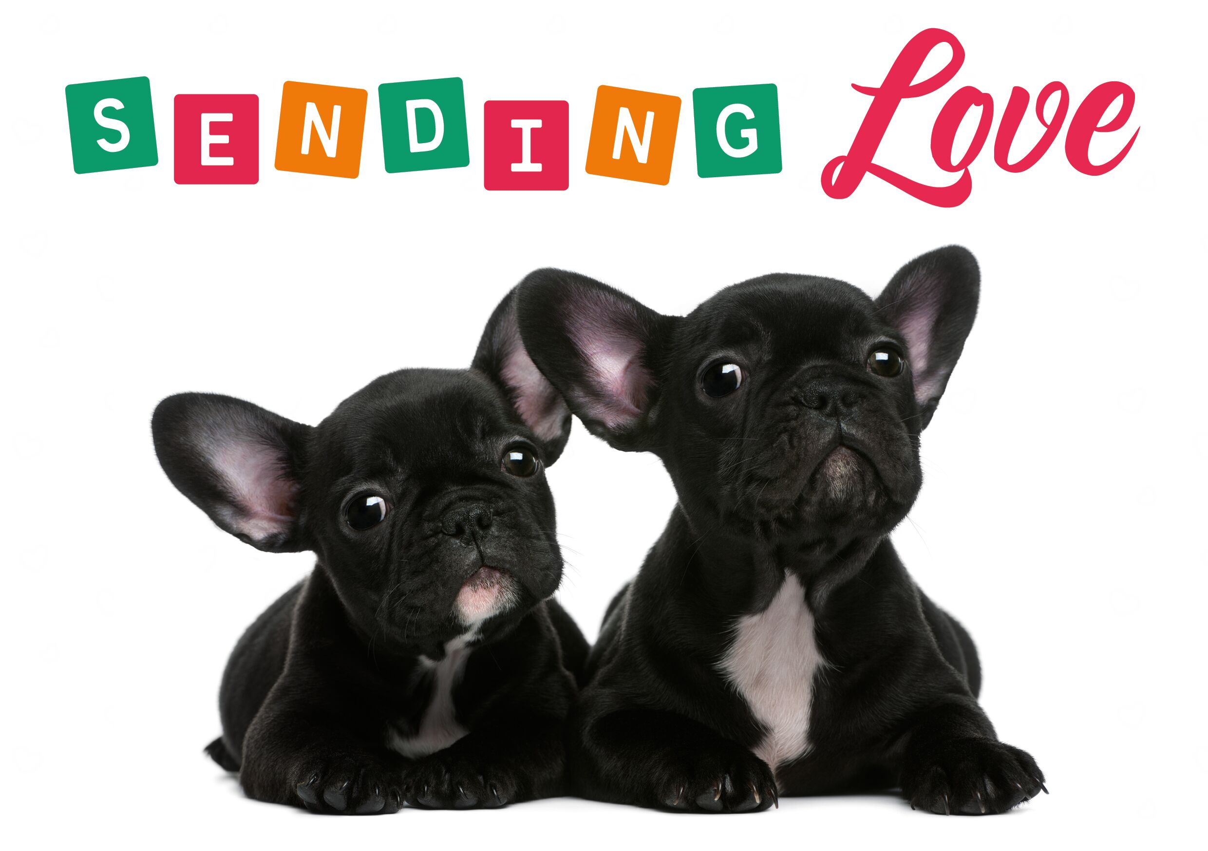 Plenty Gifts Kaart A5 Sending Love (h)