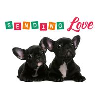 Plenty Gifts Kaart A5 Sending Love (h)