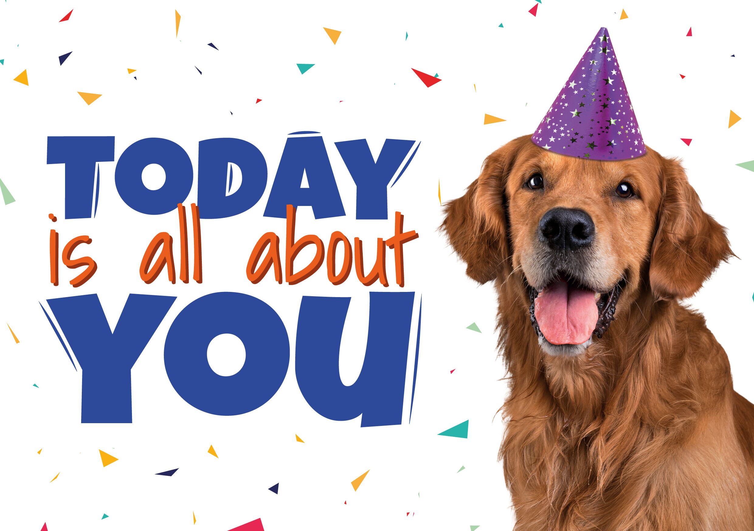 Plenty Gifts Kaart A5 Today Is All About You (h)