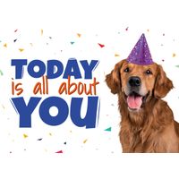 Plenty Gifts Kaart A5 Today Is All About You (h)