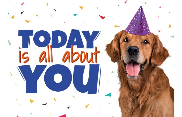 Plenty Gifts Kaart A5 Today Is All About You (h)