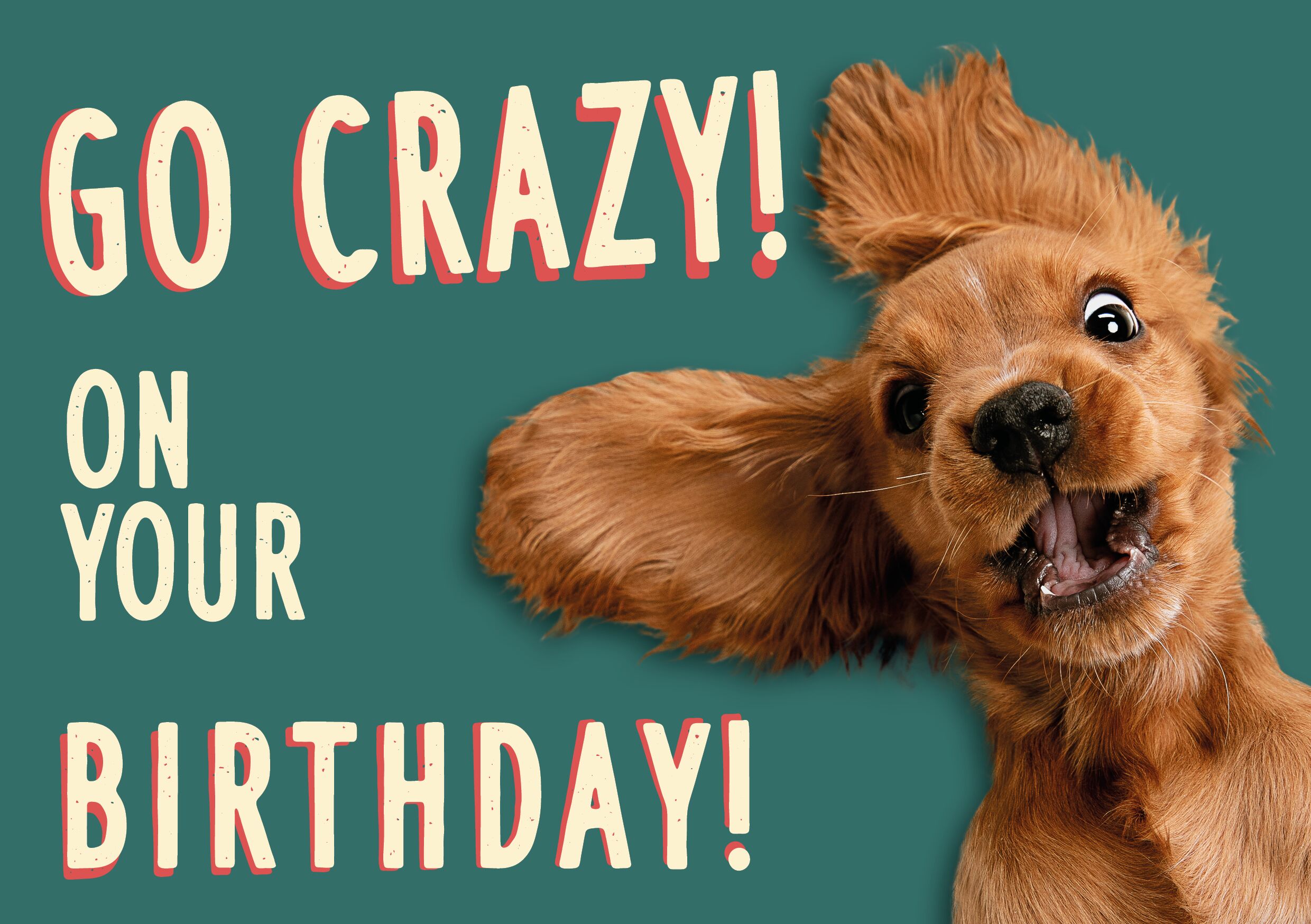 Plenty Gifts Kaart A5 Crazy Dog (h)