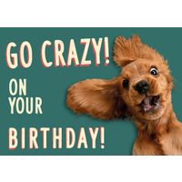 Plenty Gifts Kaart A5 Crazy Dog (h)