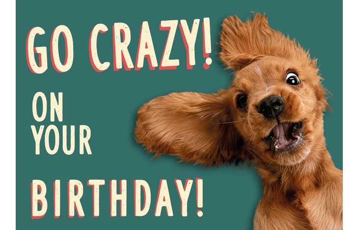 Plenty Gifts Kaart A5 Crazy Dog (h)