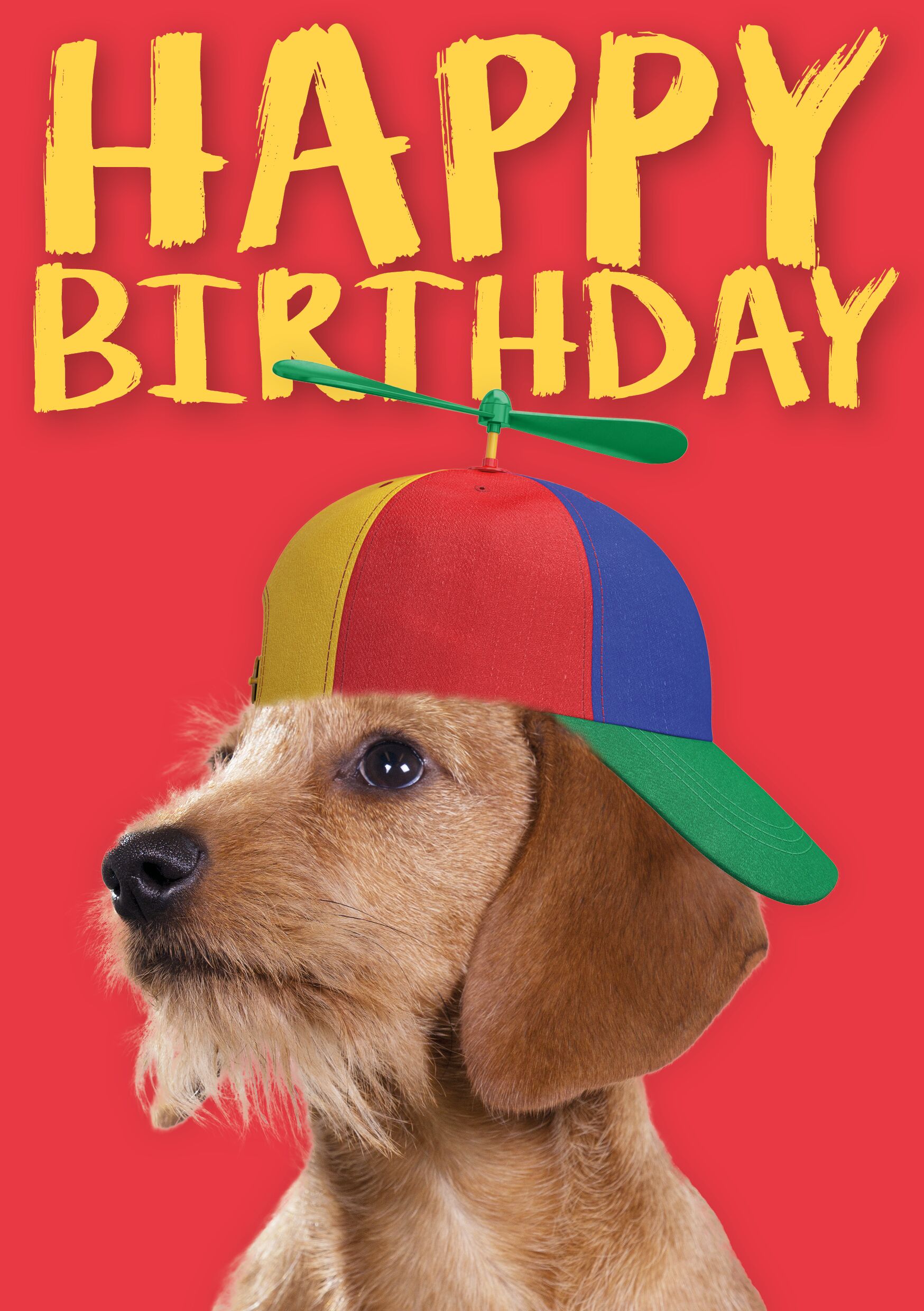 Plenty Gifts Kaart A5 Happy Birthday Hat (v)