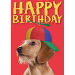 Kaart A5 Happy Birthday Hat (v)