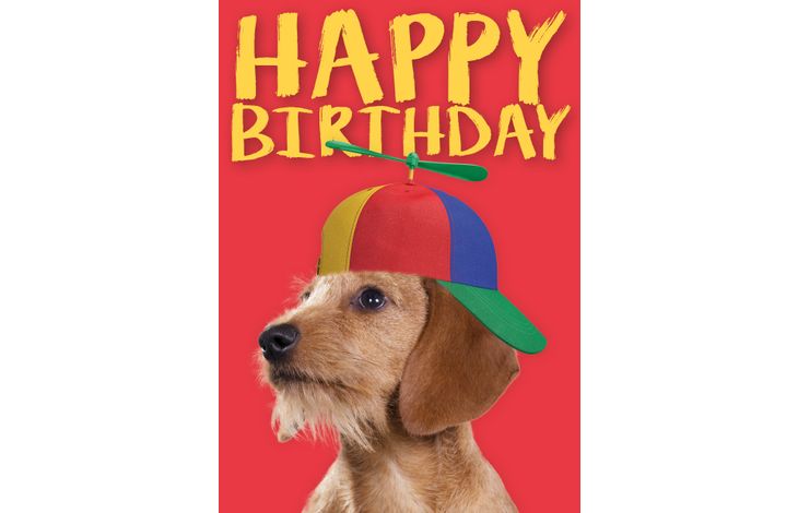 Plenty Gifts Kaart A5 Happy Birthday Hat (v)