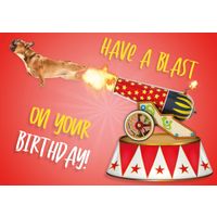 Plenty Gifts Kaart A5 Have a blast (h)