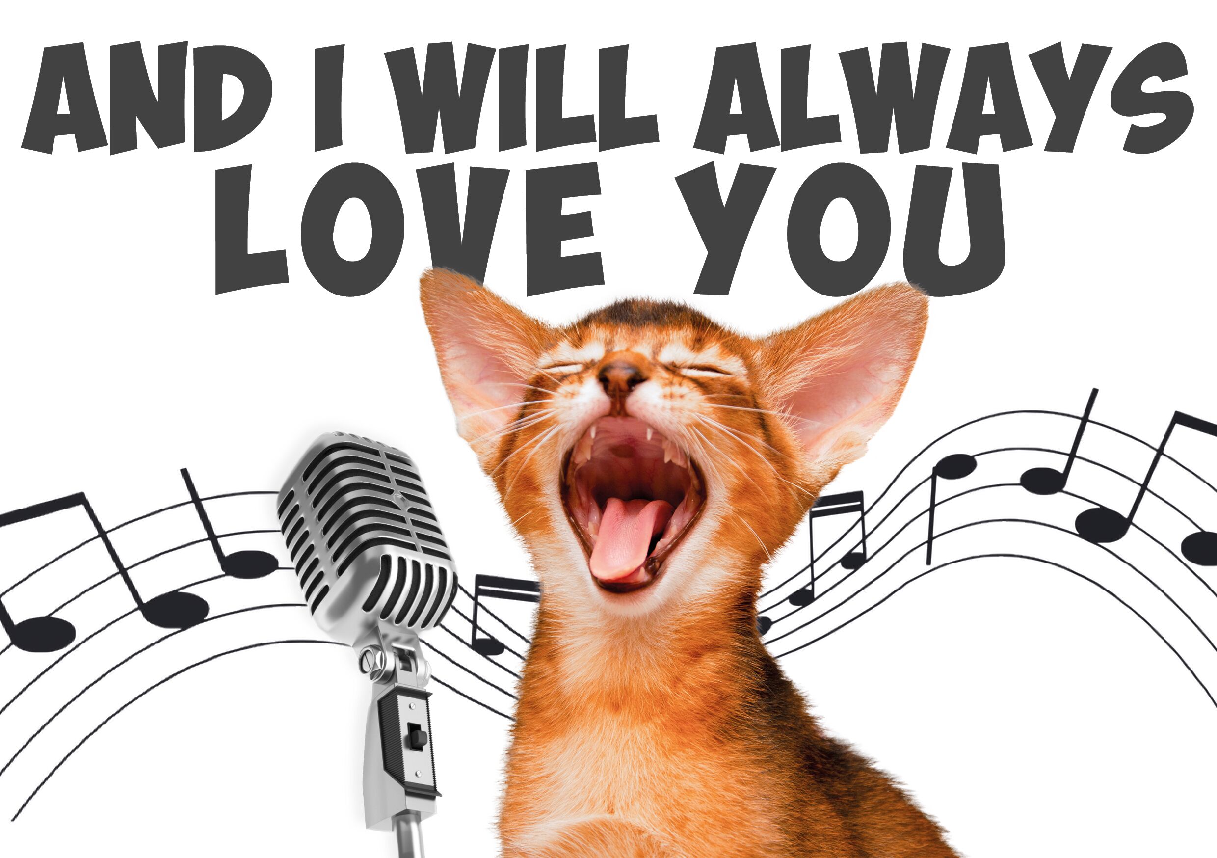 Plenty Gifts Kaart A5 I Will Always Love You (h)