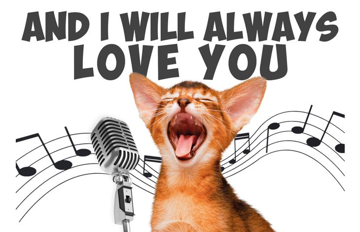 Plenty Gifts Kaart A5 I Will Always Love You (h)