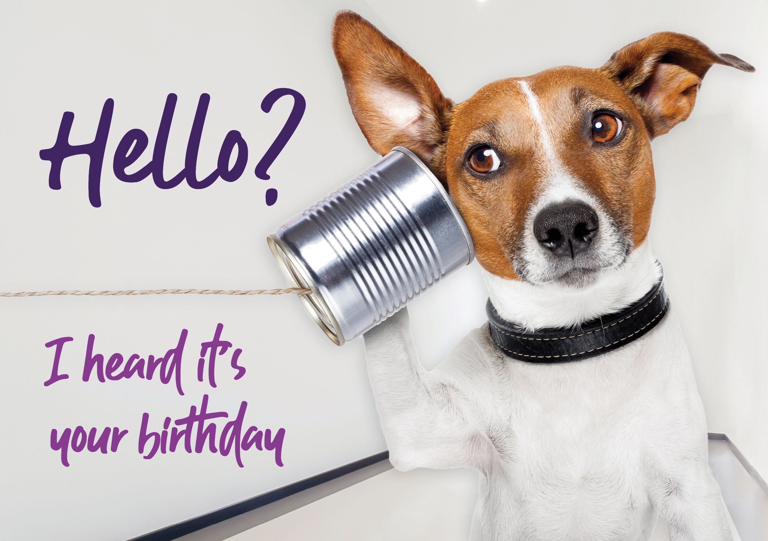 Plenty Gifts Kaart A5 Heard It's Your Birthday (h)