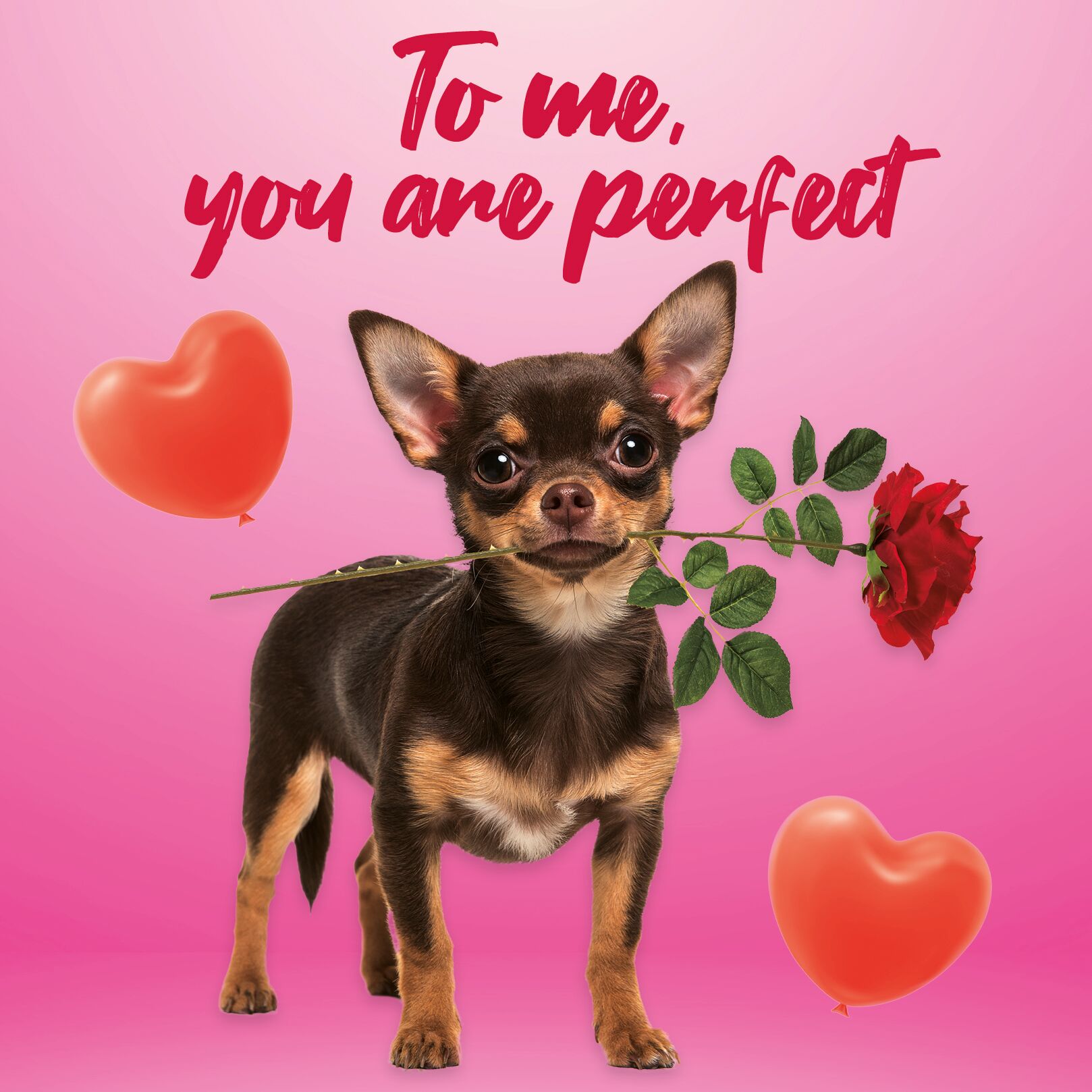 Plenty Gifts Kaart You Are Perfect