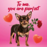 Plenty Gifts Kaart You Are Perfect