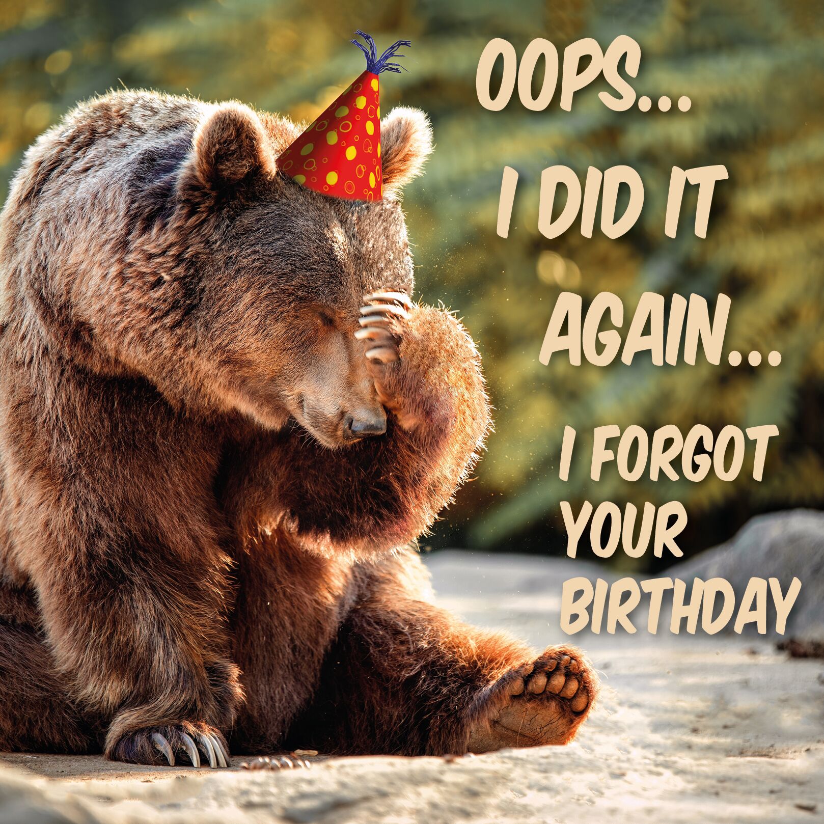 Plenty Gifts Kaart Oops I Forgot