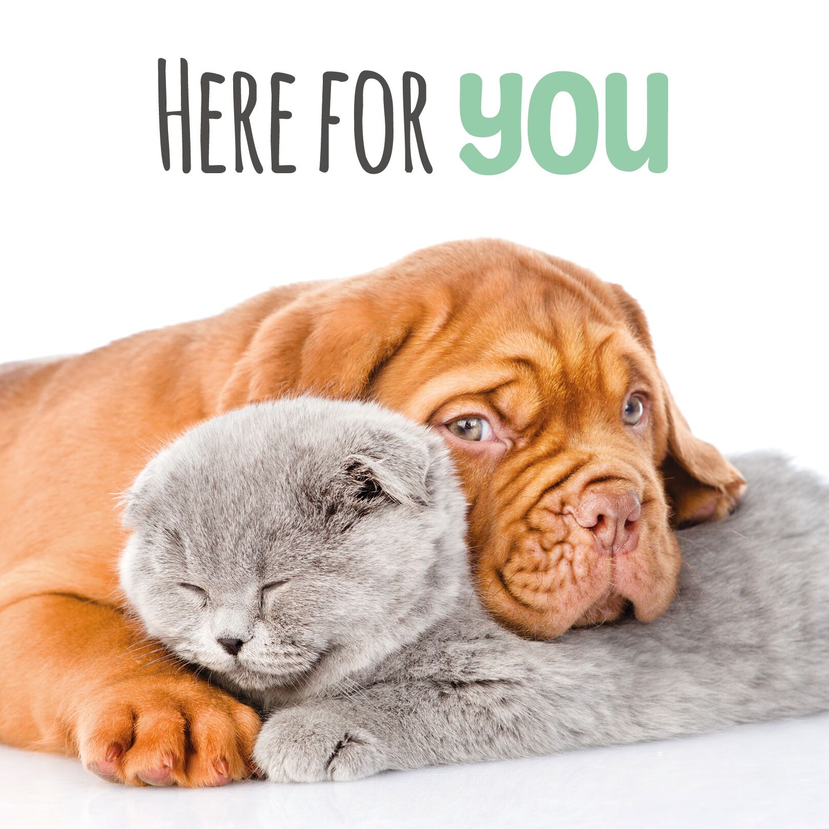 Plenty Gifts Kaart Here For You