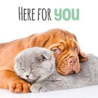 Plenty Gifts Kaart Here For You