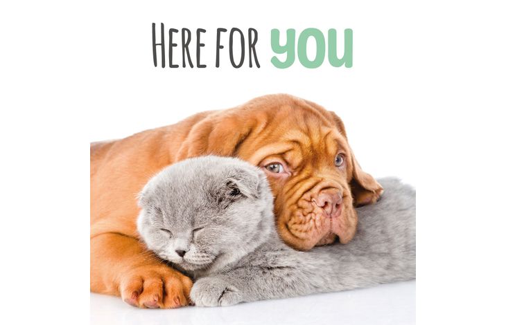 Plenty Gifts Kaart Here For You