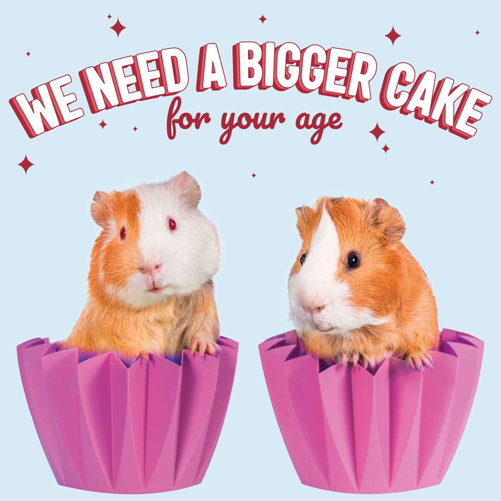 Plenty Gifts Kaart A Bigger Cake