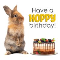 Plenty Gifts Kaart Hoppy Birthday